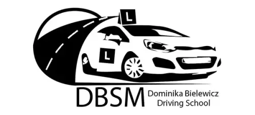 driving school brand logo design